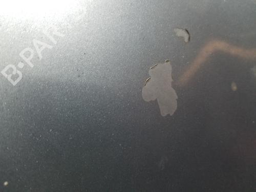 Hood SEAT CORDOBA (6L2) 1.4 16V | BP23002259C1