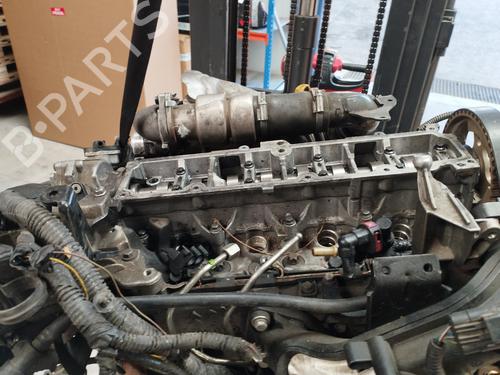 Used Cylinder head FORD FOCUS III [2010-2020]  17719265