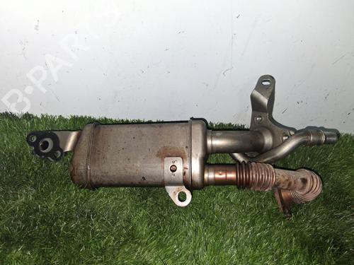 Egr RENAULT KANGOO / GRAND KANGOO II (KW0/1_)  | BP25823210M69 
