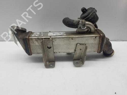 Egr RENAULT KOLEOS I (HY_) 2.0 dCi (HY0K) | BP18748660M69 