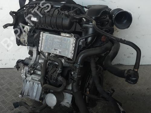 Engine VW GOLF VII (5G1, BQ1, BE1, BE2)  | BP18486633M1 