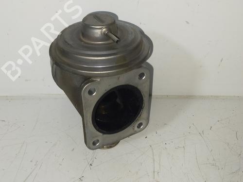 Egr BMW 5 (E60) 530 d | BP16676789M69 