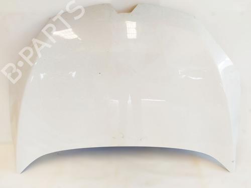 hood-renault-megane-iii-hatchback-bz01_-b3_-2008-33289881 main image