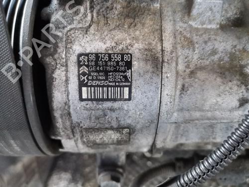 BP29434954M34 main image