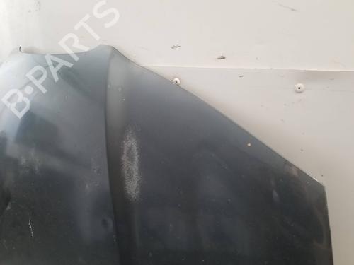 Hood SEAT IBIZA III (6L1)  | BP25304299C1