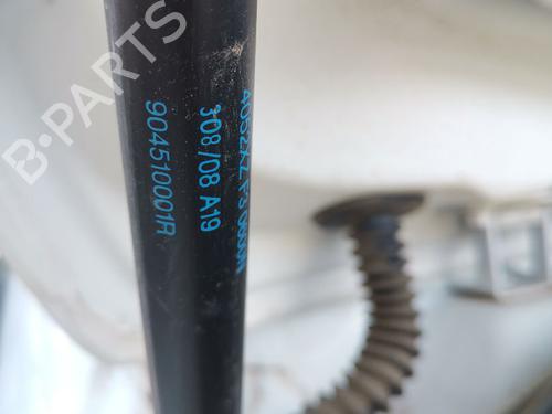 Gasdæmper bagklap RENAULT MEGANE III Hatchback (BZ0/1_, B3_) 1.6 16V (BZ0H) (101 hp) 30184513