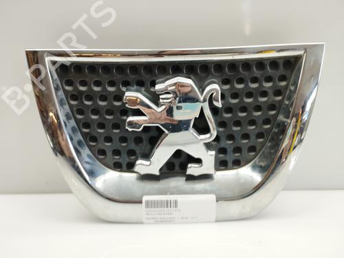 Used Grille PEUGEOT 3008 I MPV (0U_) 1.6 HDi (109 hp) 10658560