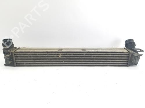 Intercooler RENAULT MEGANE III Hatchback (BZ0/1_, B3_)  | BP28581030M30 