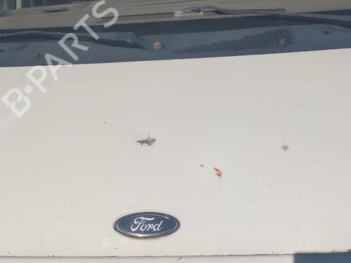 - Image 22