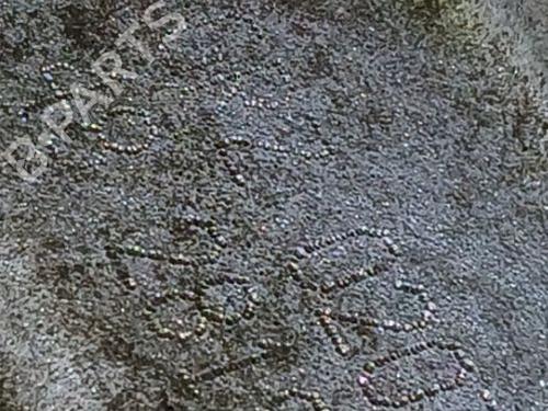 Used Gearbox SEAT IBIZA III (6L1) [2002-2009]  33046467