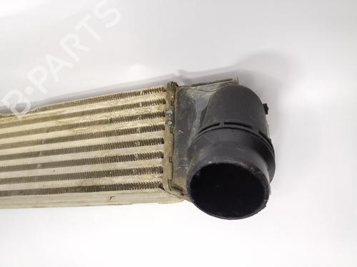 Intercooler DACIA DUSTER (HS_) | BP36435070M30 - Image 2