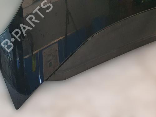 Hood CITROËN C4 Picasso I MPV (UD_) 2.0 HDi 138 | BP31250254C1