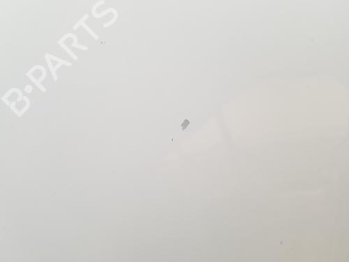 Hood SKODA RAPID (NH3, NK3, NK6) 1.6 TDI | BP19935074C1 