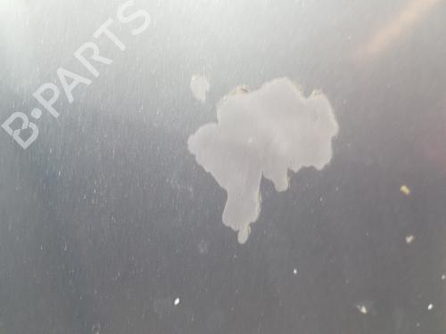 Hood SEAT CORDOBA (6L2) 1.4 16V | BP23002259C1