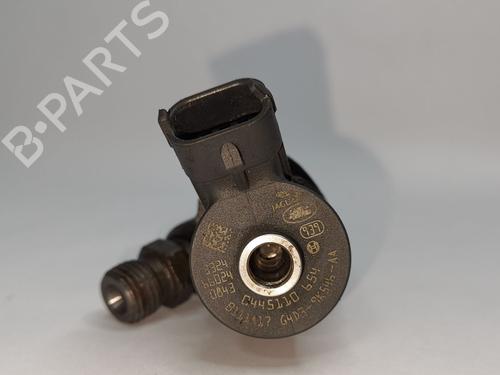 Injector JAGUAR F-PACE (X761) [2015-2025]  31091087