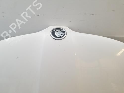 Hood SKODA RAPID (NH3, NK3, NK6) 1.6 TDI | BP19935074C1 