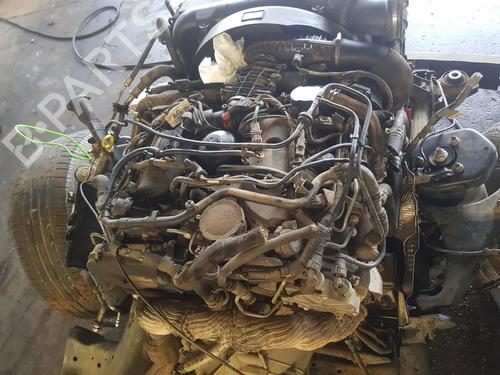Used Cylinder head LAND ROVER DISCOVERY III (L319) 2.7 TD 4x4 (190 hp) 19920741