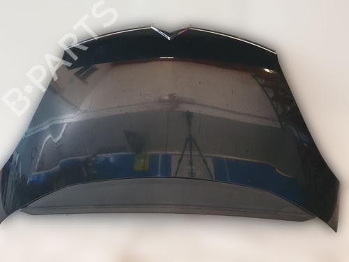 hood-citroen-c4-picasso-i-mpv-ud_-2006-2007-2008-2009-2010-2011-2012-2013-2014-2015-31250254 main image