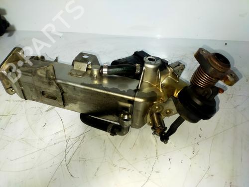 Egr BMW 5 (F10) 520 d | BP13988824M69 