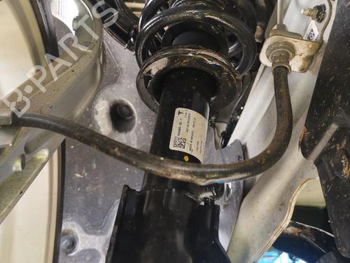 Left front shock absorber TESLA MODEL 3 (5YJ3)  | BP29546342M16 
