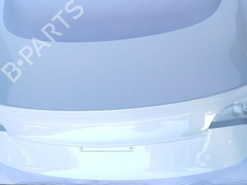 Tailgate TESLA MODEL 3 (5YJ3)  | BP29546368C6 