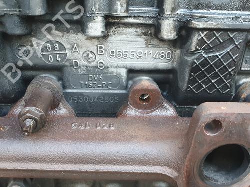 Used Cylinder head CITROËN C4 Picasso I MPV (UD_) [2006-2015]  31050970