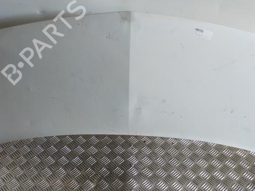 Used Hood RENAULT KANGOO / GRAND KANGOO II (KW0/1_) 1.5 dCi 85 (KW0K, KW0L, KW0B) (86 hp) 3627544