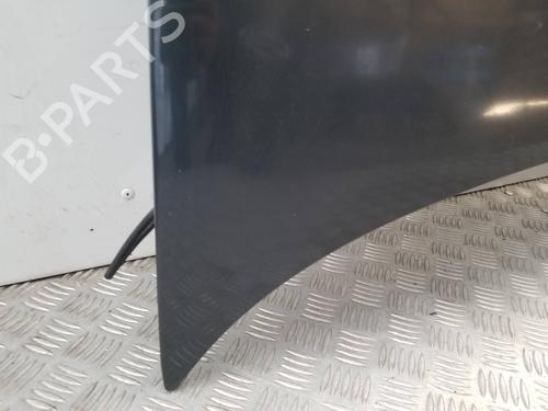 Hood SEAT IBIZA III (6L1)  | BP25304299C1