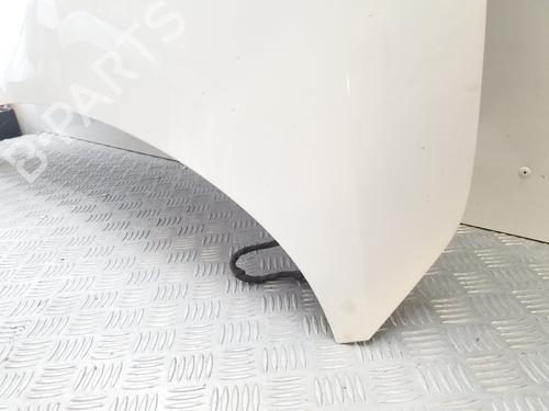 Hood SKODA RAPID (NH3, NK3, NK6) 1.6 TDI | BP19935074C1 