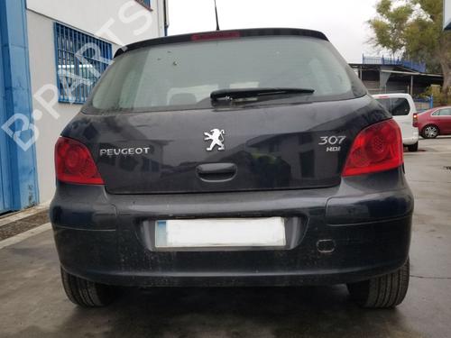 Steering pump PEUGEOT 307 (3A/C)  | BP30966587M99 