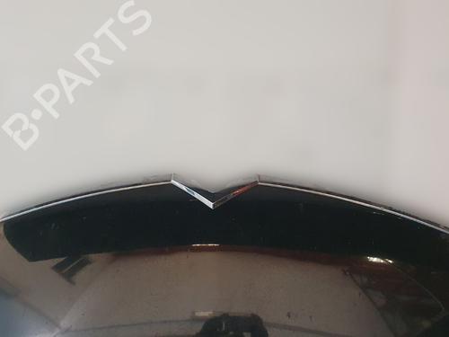 Hood CITROËN C4 Picasso I MPV (UD_) 2.0 HDi 138 | BP31250254C1