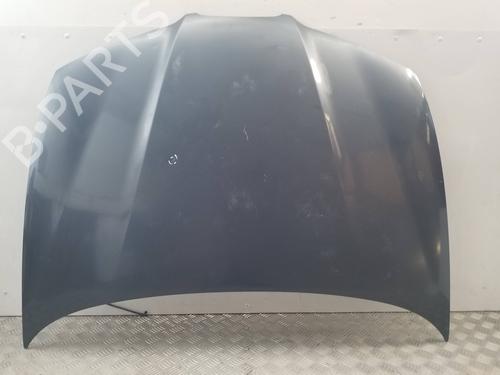 Used Hood SEAT IBIZA III (6L1) [2002-2009]  25304299
