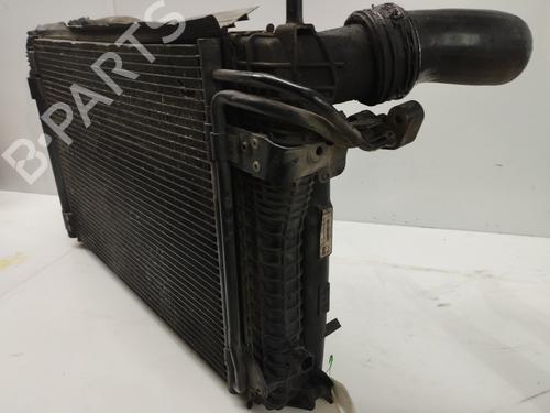 Used Intercooler SEAT LEON (1P1) 1.9 TDI (105 hp) 25336977