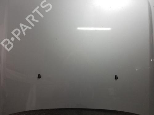 Hood LAND ROVER DISCOVERY III (L319) 2.7 TD 4x4 | BP19935084C1 