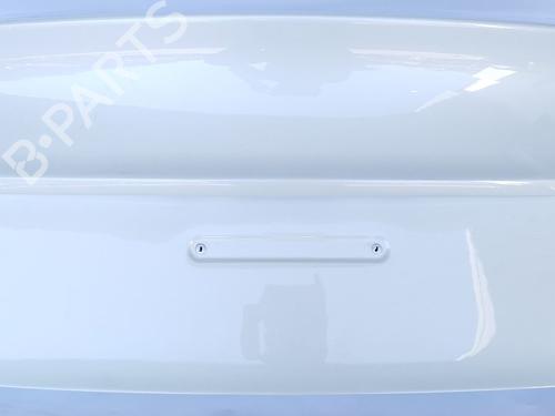 Tailgate TESLA MODEL 3 (5YJ3)  | BP29546368C6 