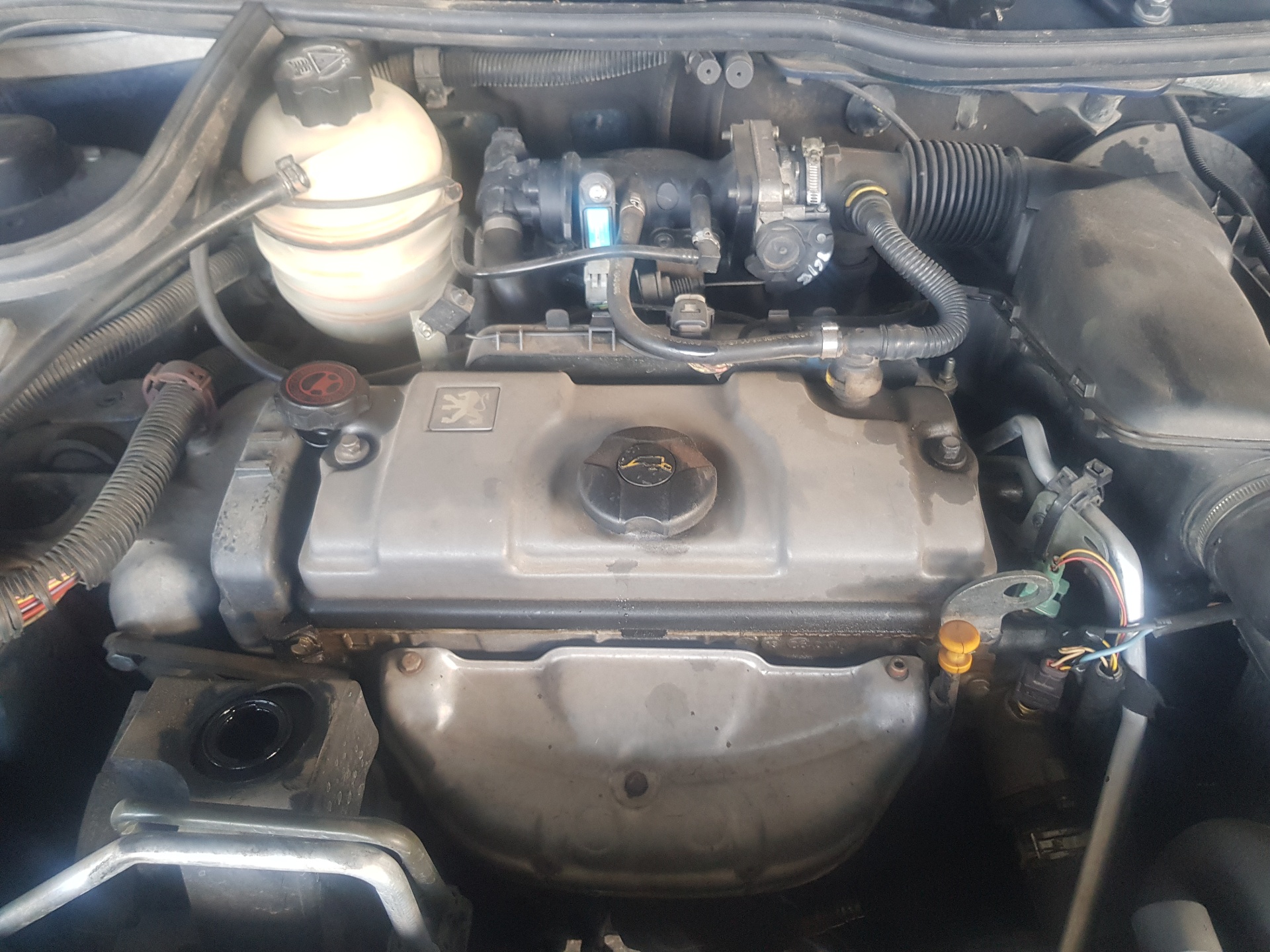 Engine PEUGEOT 206 Hatchback (2A/C) 1.6 i 17509727 | B-Parts