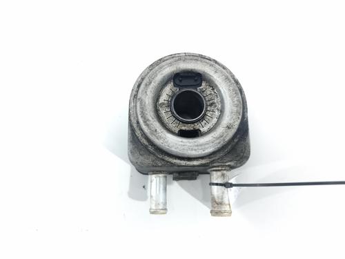 Used Oil radiator Oil radiator CITROËN XSARA (N1) 2.0 HDi 90 (90 hp) 33981416 33981416