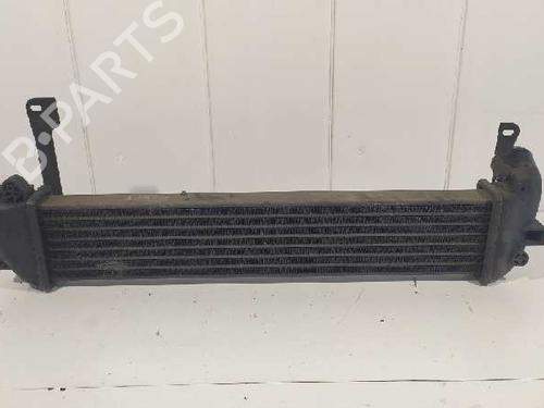 Intercooler NISSAN KUBISTAR MPV (X76) 1.5 dCi 70 | BP6563734M30 