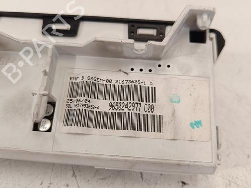 Display monitor PEUGEOT 206 Hatchback (2A/C)  | BP19583580C48 