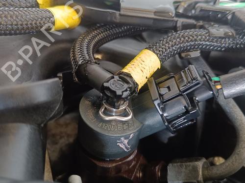 Engine FORD FOCUS II (DA_, HCP, DP)  | BP19035306M1 