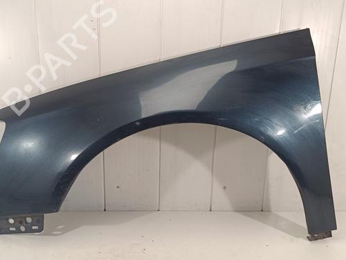 Used Left front fenders VW PASSAT B6 (3C2) [2005-2010]  17957426