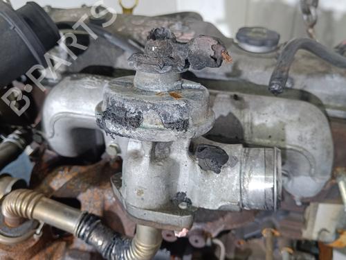 Engine FORD FOCUS I (DAW, DBW)  | BP23245351M1 
