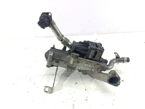 egr-citroen-berlingo-multispace-b9-2008-32207383 main image