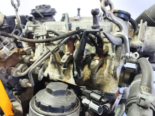 Engine SEAT IBIZA III (6L1) 1.9 SDI | BP33963460M1  - Image 14