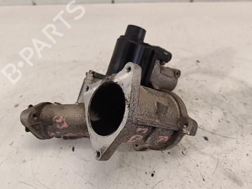 Egr SEAT IBIZA IV (6J5, 6P1)  | BP19409189M69 