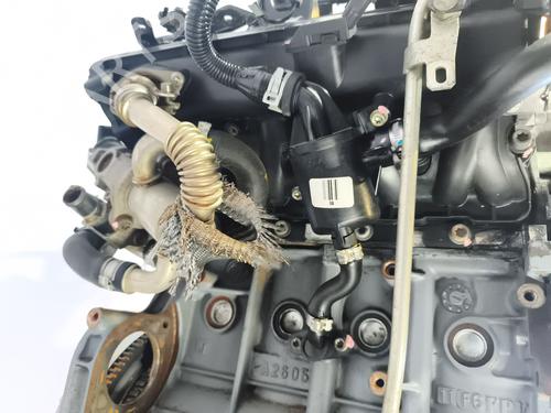 Engine OPEL CORSA D (S07) 1.3 CDTI (L08, L68) | BP33963461M1  - Image 7
