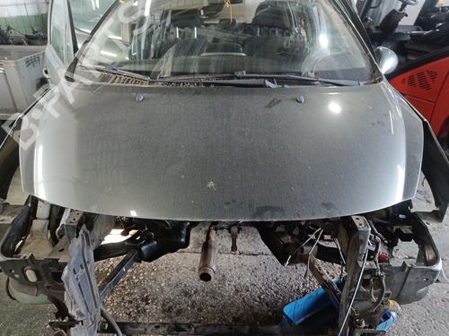 Used Hood PEUGEOT 207 Hatchback Van (WA_, WC_) 1.6 HDi (90 hp) 29885944