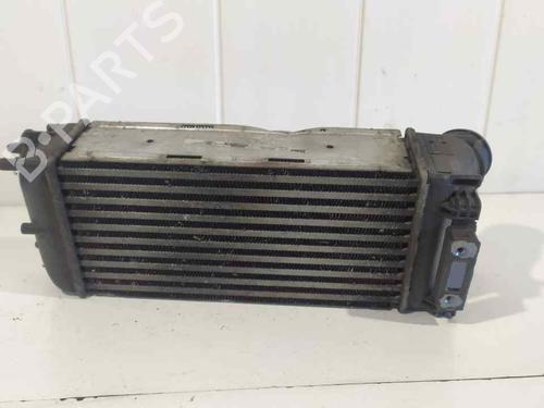 Intercooler PEUGEOT 3008 I MPV (0U_)  | BP12546541M30 