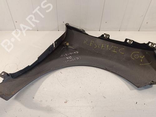 Left front fenders RENAULT SCÉNIC II (JM0/1_)  | BP19496989C41 