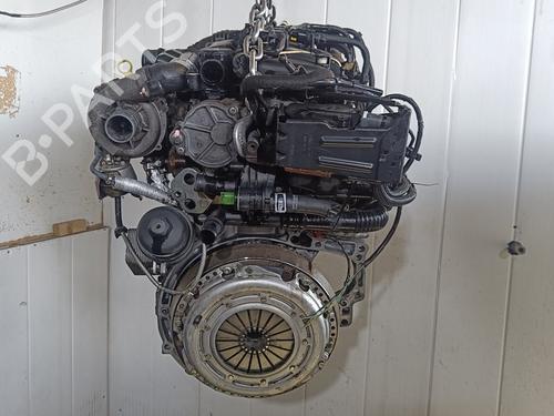 Engine FORD FOCUS II (DA_, HCP, DP)  | BP19035306M1 